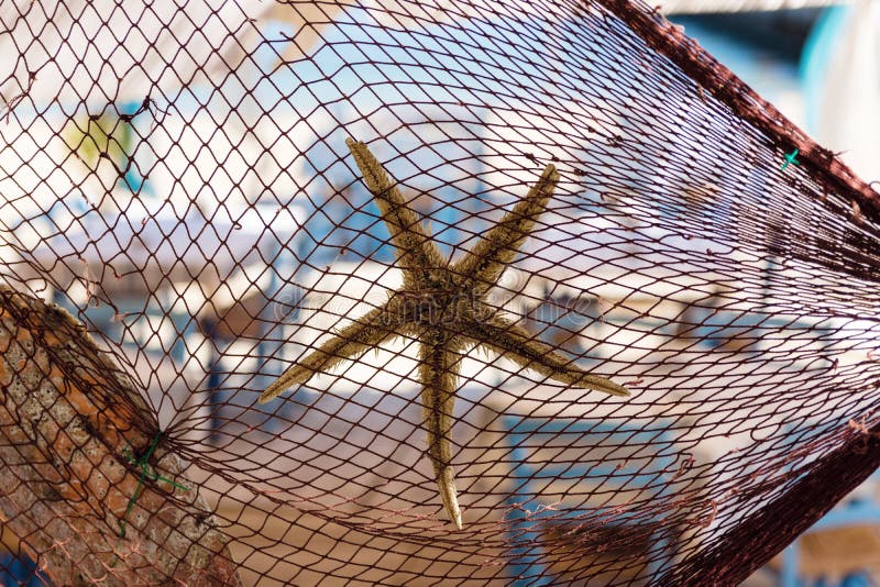 Rete da pesca decorata con le stelle marine e la conchiglia al ristorante greco tradizionale dalla spiaggia e dal porto di pesca fotografia stock Rete da pesca decorata con le stelle marine e la conchiglia al ristorante greco tradizionale dalla spiaggia e dal porto di pesca fotografia stock