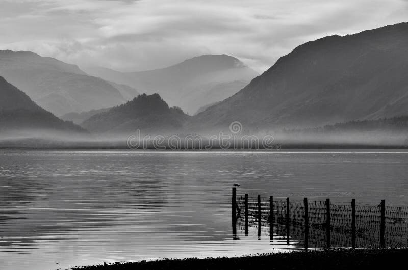 A view of one of the lake districts famous waters, Derwentwater. On a misty, rainy evening, the fence that continues into the lake is to stop the grazing sheep from straying. A view of one of the lake districts famous waters, Derwentwater. On a misty, rainy evening, the fence that continues into the lake is to stop the grazing sheep from straying.