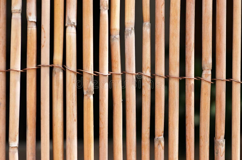 Rete fissa di bambù fotografie stock libere da diritti