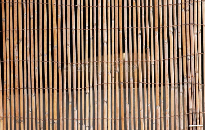 Rete fissa di bambù immagine stock