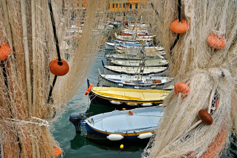 Accessorio Pesca Professionale Rete Da Pesca NGT 50 Pollici - Per Pesce Gatto E Carpa, Colore Verde, Nuova E Pratica Rete Pesce Gatto - Foto 7