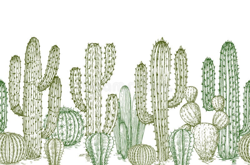 Reticolo senza giunte del cactus Confine senza fine delle piante dei cactus del deserto di schizzo per l'illustrazione occidental