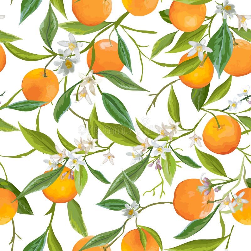 Reticolo senza giunte L'arancia fruttifica fondo Reticolo floreale illustrazione vettoriale Reticolo senza giunte L'arancia fruttifica fondo Reticolo floreale illustrazione vettoriale