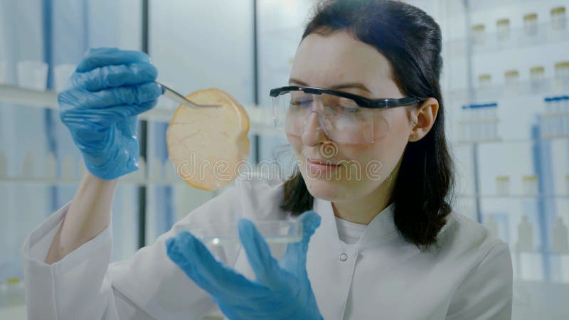 Retrato aproximado de uma mulher cientista num casaco branco com pinças nas mãos olhando para a carne cultivada artificialmente