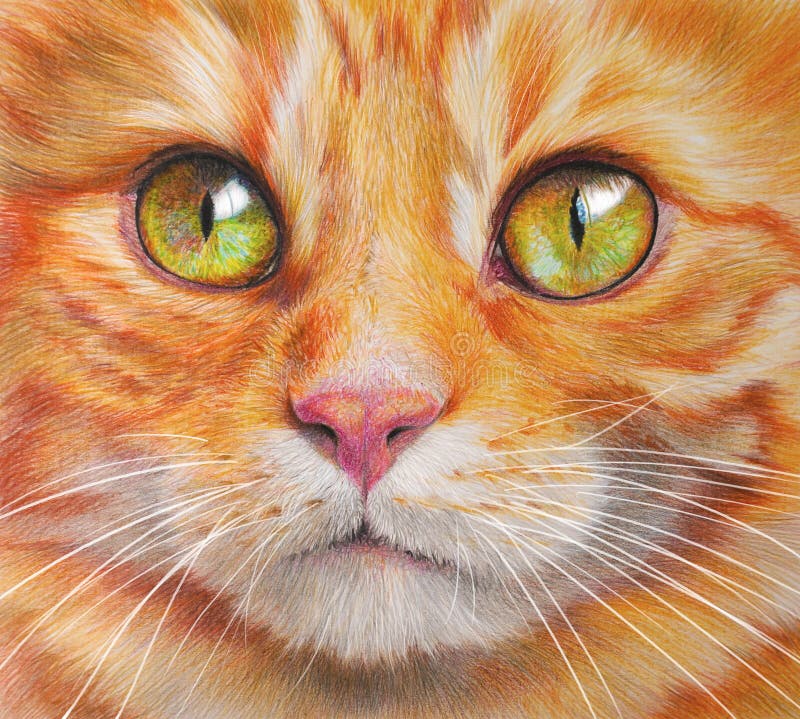 Retrato Colorido De Um Gato Feliz Em Um Preto. Desenho De Lápis Detalhado  Realista Com Lápis De Cor D'água. Ilustração Stock - Ilustração de  acadêmica, miado: 211093670