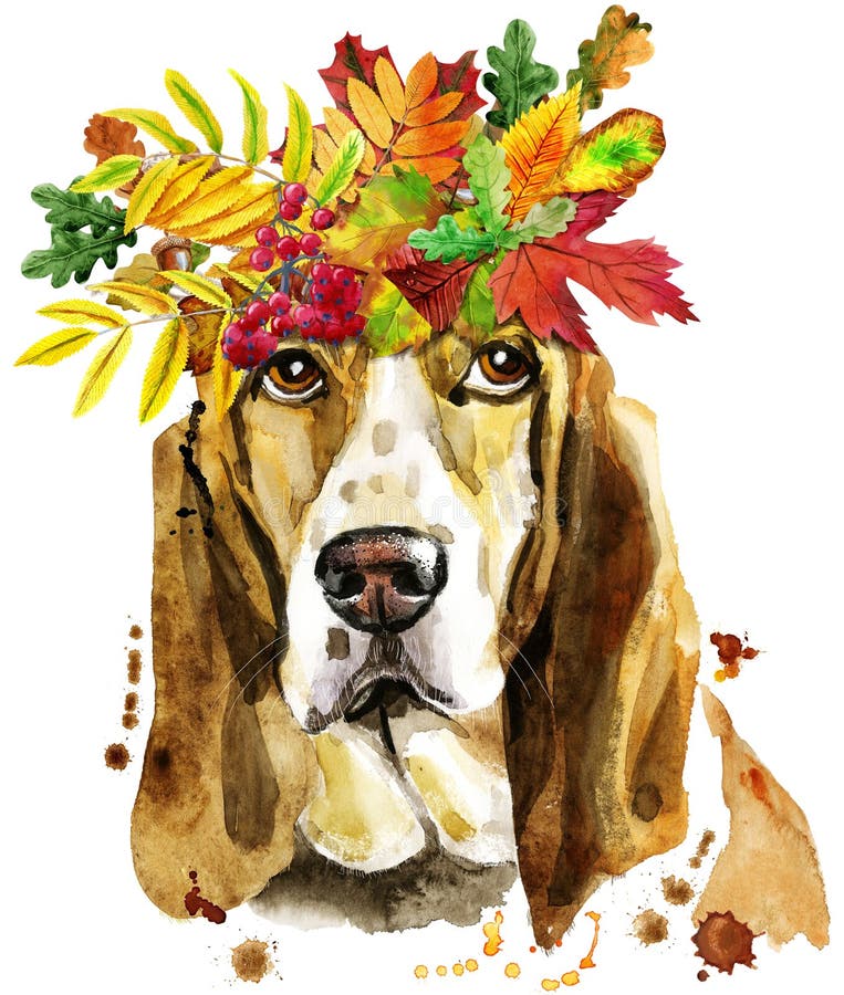 Retrato da aquarela do cão de basset com a grinalda das folhas de outono ilustração do vetor Retrato da aquarela do cão de basset com a grinalda das folhas de outono ilustração do vetor