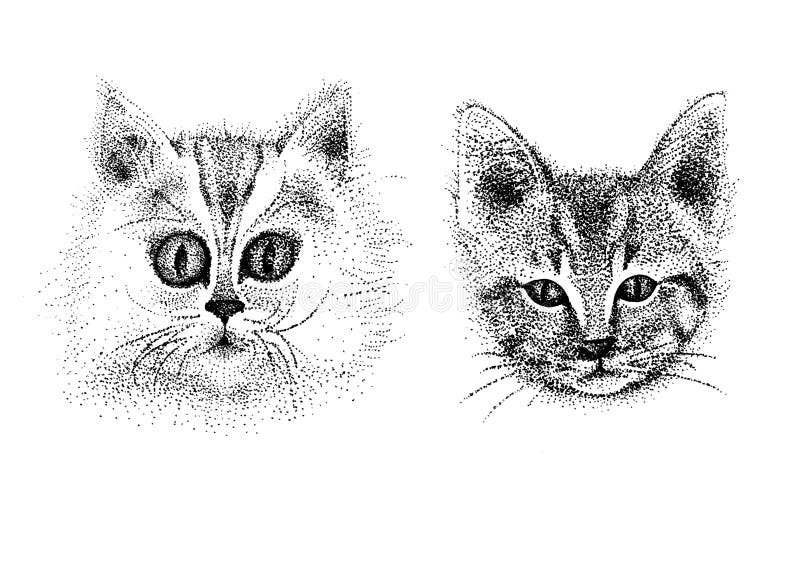 Retrato De Dos Gatitos Dibujo De Lápiz Negro Stock de ilustración -  Ilustración de gatito, tarjeta: 168184700