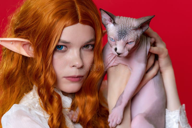 Retrato de elfo de una joven cosplayer femenina que muestra el gatito de esfinge purebred con ojos azules foto de archivo