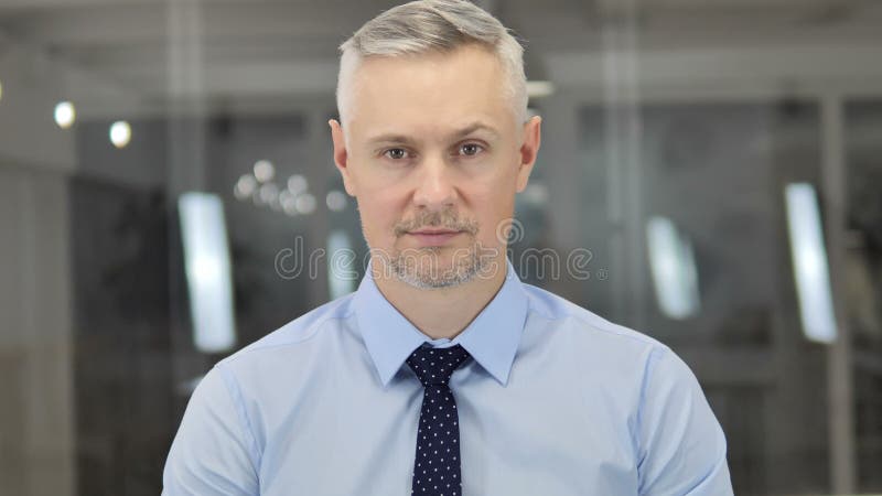 Retrato de Grey Hair Businessman mayor en oficina