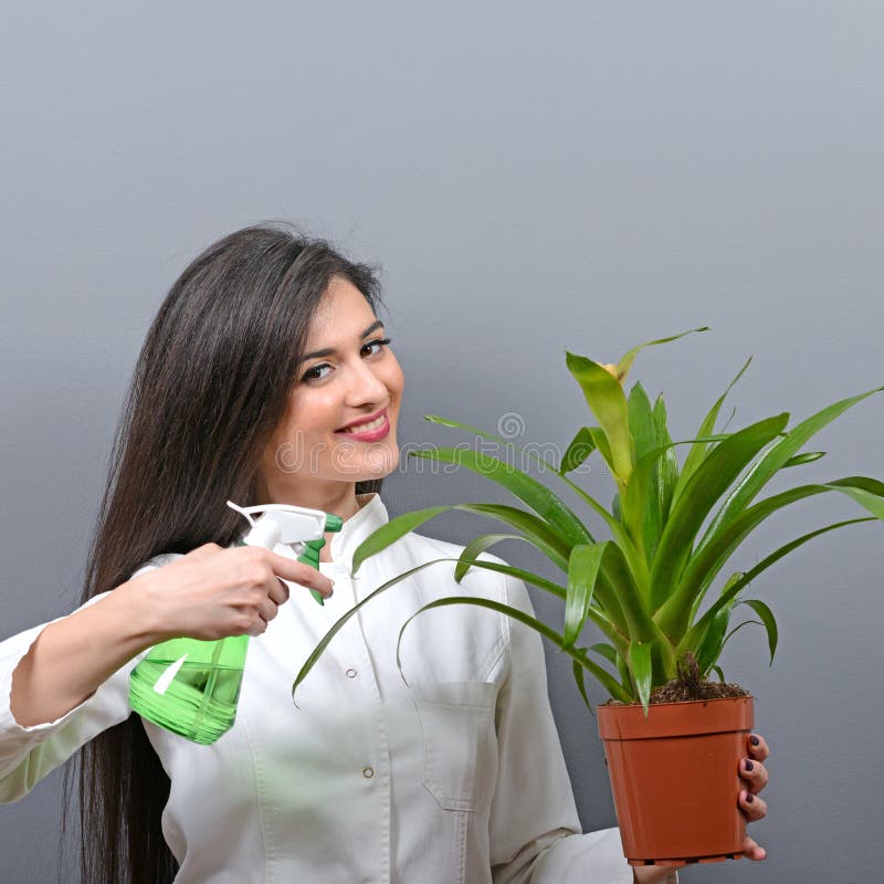 Retrato de la planta de riego del botánico de la mujer joven contra fondo gris foto de archivo Retrato de la planta de riego del botánico de la mujer joven contra fondo gris foto de archivo