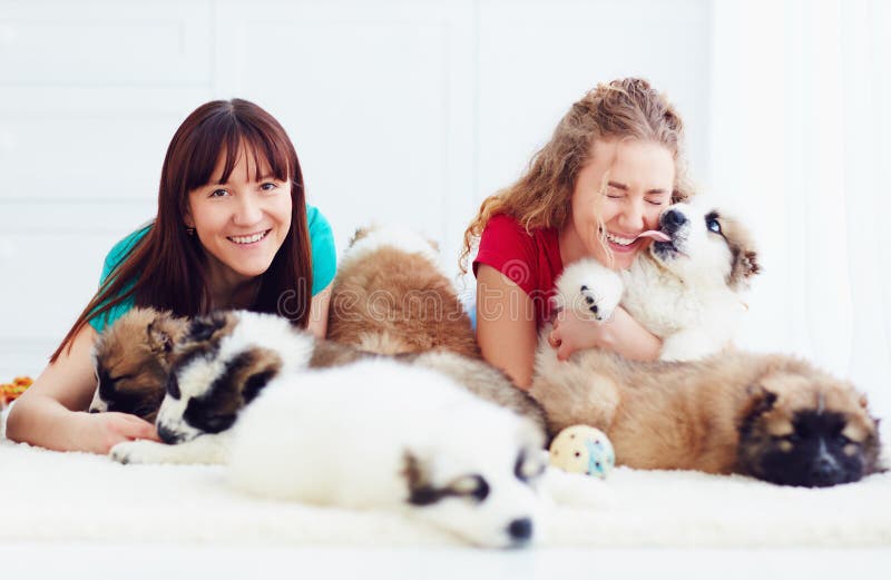 Retrato de mujeres jovenes felices y de perros de perritos caucásicos del pastor imagenes de archivo Retrato de mujeres jovenes felices y de perros de perritos caucásicos del pastor imagenes de archivo