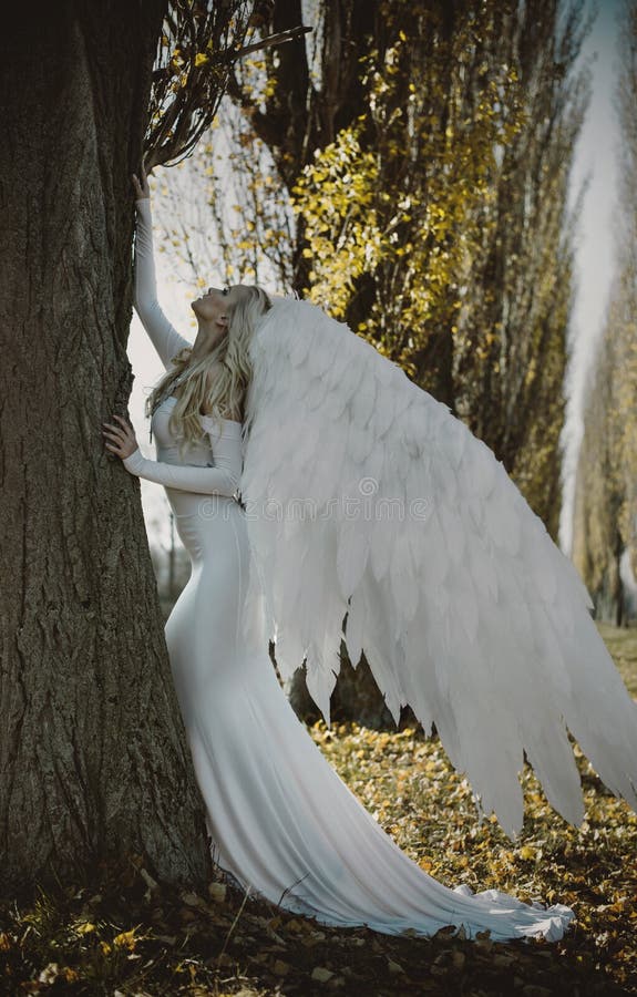 Retrato de um anjo elegante, louro foto de stock Retrato de um anjo elegante, louro foto de stock