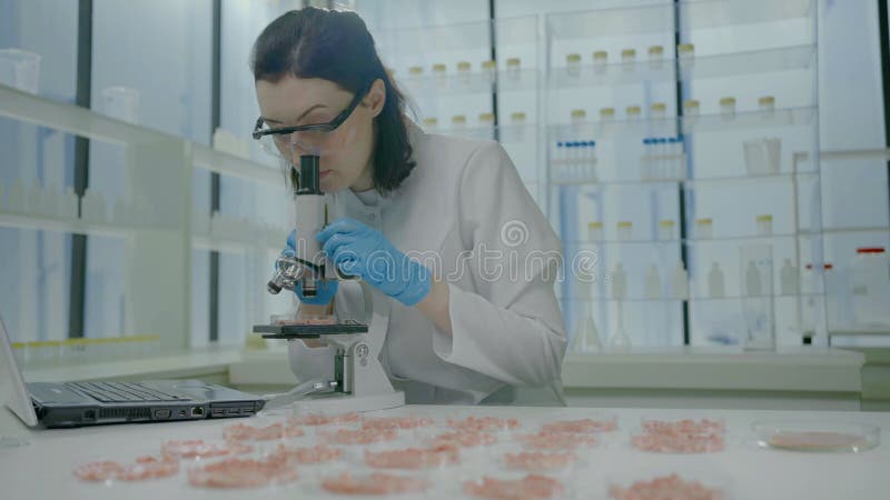 Retrato de uma mulher cientista num casaco branco com microscópio no laboratório estudando carne artificial