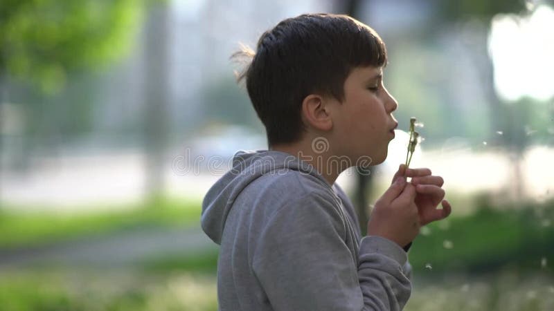Retrato de un joven al aire libre en el césped verde con diente de león. metrajes