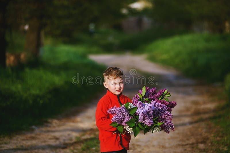 Retrato de un muchacho con un ramo de lilas fotografía de archivo libre de regalías Retrato de un muchacho con un ramo de lilas fotografía de archivo libre de regalías