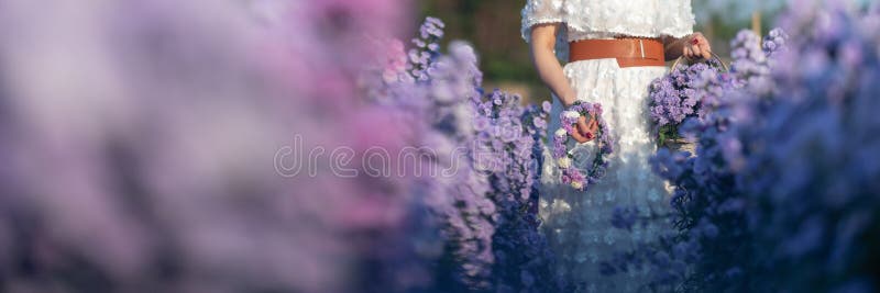 Portrait of beautiful romantic woman in fairy field of Margaret with bouquet. Portrait of beautiful romantic woman in fairy field of Margaret with bouquet.