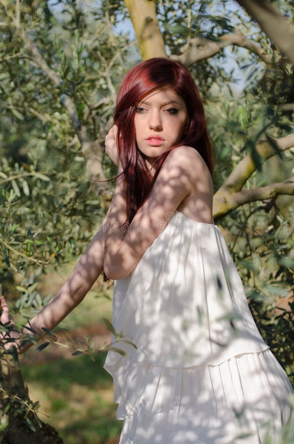 Retrato de una muchacha con el vestido blanco en la arboleda verde oliva fotografía de archivo libre de regalías Retrato de una muchacha con el vestido blanco en la arboleda verde oliva fotografía de archivo libre de regalías