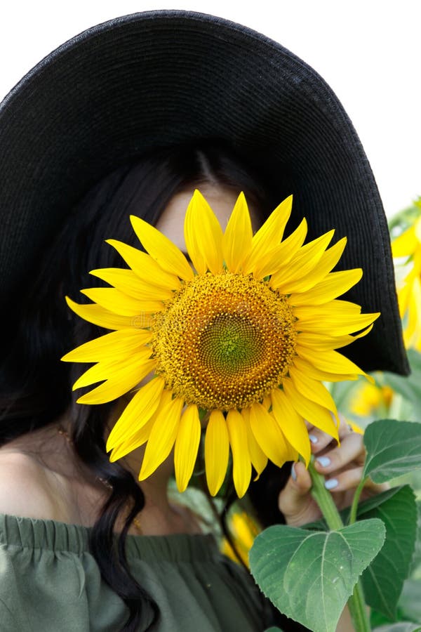 Retrato de una muchacha hermosa que cubre su cara con un girasol Naturaleza, vacaciones de verano, vacaciones Mujer con el pelo l imagen de archivo Retrato de una muchacha hermosa que cubre su cara con un girasol Naturaleza, vacaciones de verano, vacaciones Mujer con el pelo l imagen de archivo