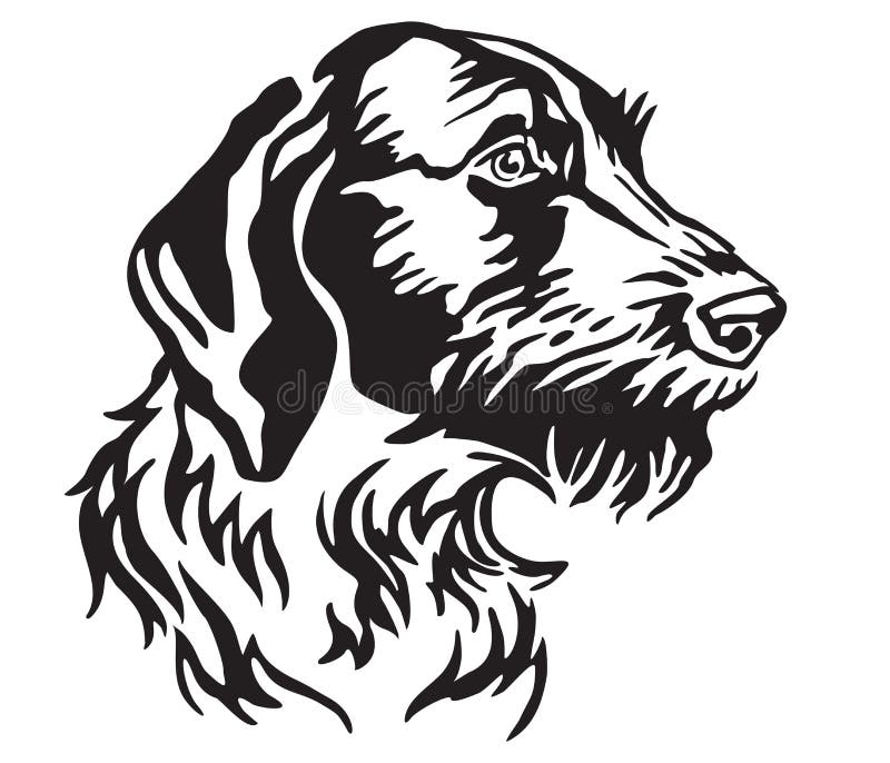 Retrato decorativo del illu Wirehaired alemán del vector del indicador del perro