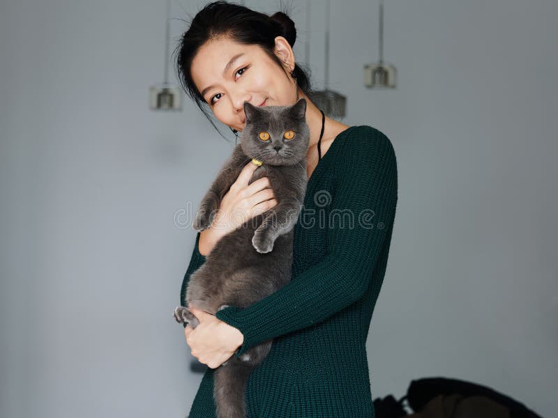 Retrato del abrazo chino hermoso de la chica joven su gato británico lindo de Shorthair que tiene ojos anaranjados asombrosos en fotos de archivo Retrato del abrazo chino hermoso de la chica joven su gato británico lindo de Shorthair que tiene ojos anaranjados asombrosos en fotos de archivo