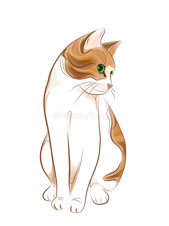 Retrato del gato de tabby del jengibre