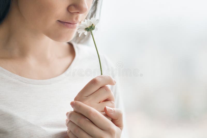 Retrato del primer de la muchacha con la flor de la manzanilla, mujer joven con maquillaje natural que sonríe, ventana del fondo foto de archivo libre de regalías Retrato del primer de la muchacha con la flor de la manzanilla, mujer joven con maquillaje natural que sonríe, ventana del fondo foto de archivo libre de regalías