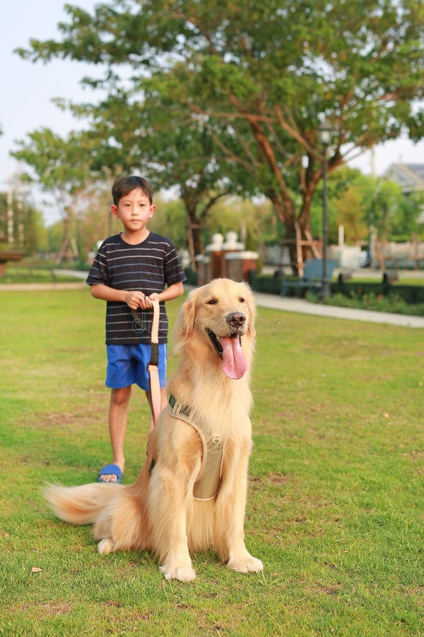 Retrato del recuperador de oro y un niño asiático parado en el césped en el jardín. Foco en el perro fotografía de archivo libre de regalías