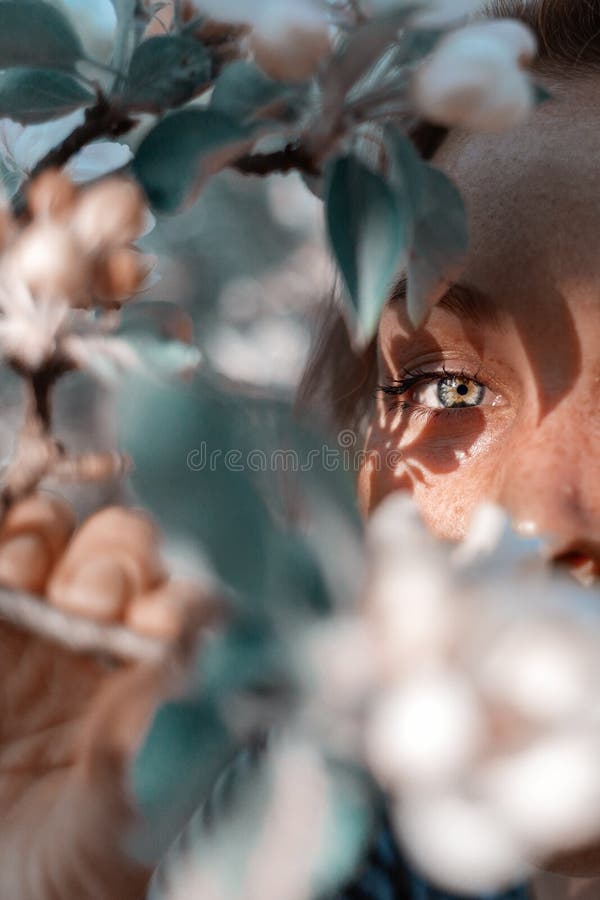 Retrato do close-up Uma mulher bonita guarda um ramo das flores, cobrindo sua cara matiz foto de stock royalty free Retrato do close-up Uma mulher bonita guarda um ramo das flores, cobrindo sua cara matiz foto de stock royalty free