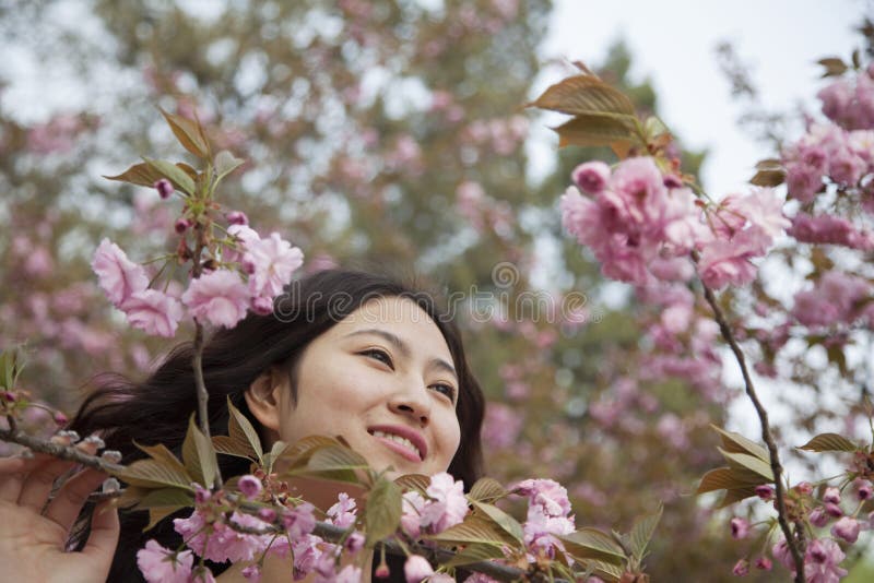 Retrato do sorriso e jovem mulher sereno pelas flores cor-de-rosa bonitas, no parque na primavera fotos de stock royalty free Retrato do sorriso e jovem mulher sereno pelas flores cor-de-rosa bonitas, no parque na primavera fotos de stock royalty free