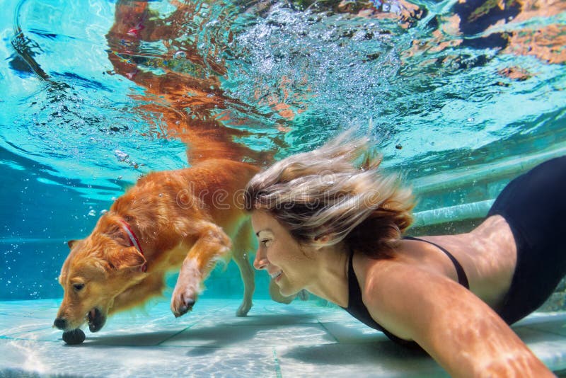 Retrato engraçado da mulher do smiley com o cão na piscina foto de stock Retrato engraçado da mulher do smiley com o cão na piscina foto de stock