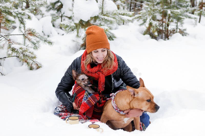 Retrato engraçado de uma mulher com seus dois cachorros embrulhados em vermelho xadrez sobre uma neve na floresta de coníferas de imagens de stock Retrato engraçado de uma mulher com seus dois cachorros embrulhados em vermelho xadrez sobre uma neve na floresta de coníferas de imagens de stock