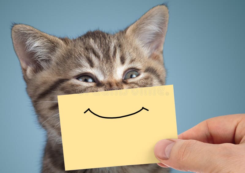 Retrato feliz do close up do gato com sorriso engraçado no cartão
