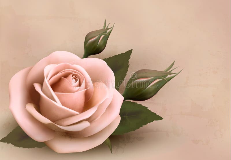 Retro bakgrund med den härliga rosa ron royaltyfri illustrationer