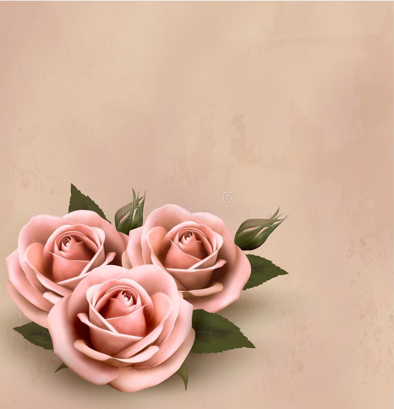 Retro bakgrund med härliga rosa ro stock illustrationer