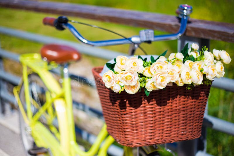 Retro Bicycle with Wicker Basket and Flowers Stock Image Image of