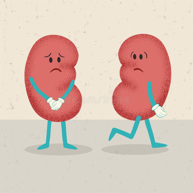 Retro cartoon of 2 kidneys stock illustration Retro cartoon of 2 kidneys stock illustration