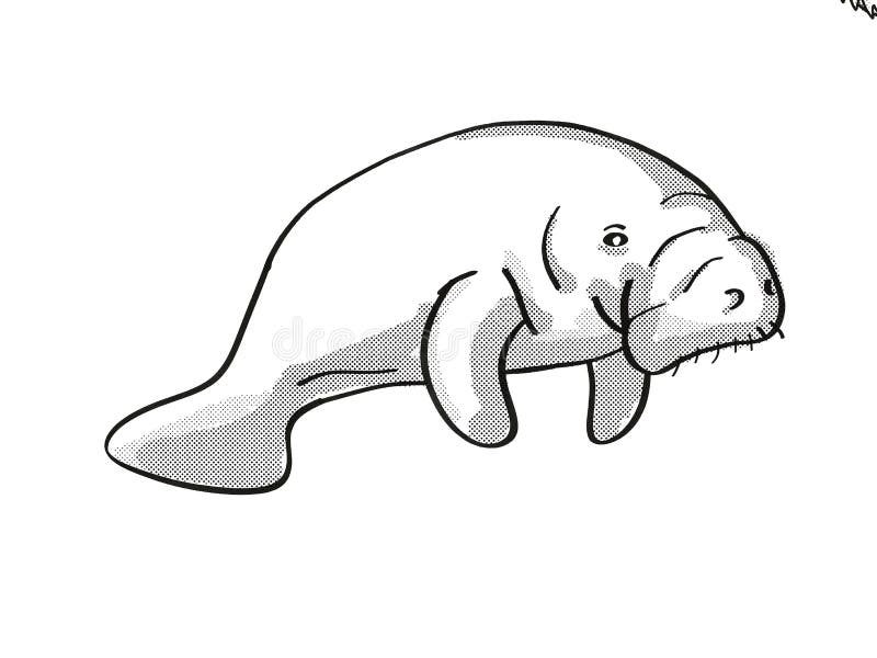 Manatee or Sea Cow Endangered Wildlife Cartoon Mono Line Drawing Stock Illustration - Illustration of herbivorous, monoline: 161496909 Manatee or Sea Cow Endangered Wildlife Cartoon Mono Line Drawing Stock Illustration - Illustration of herbivorous, monoline: 161496909