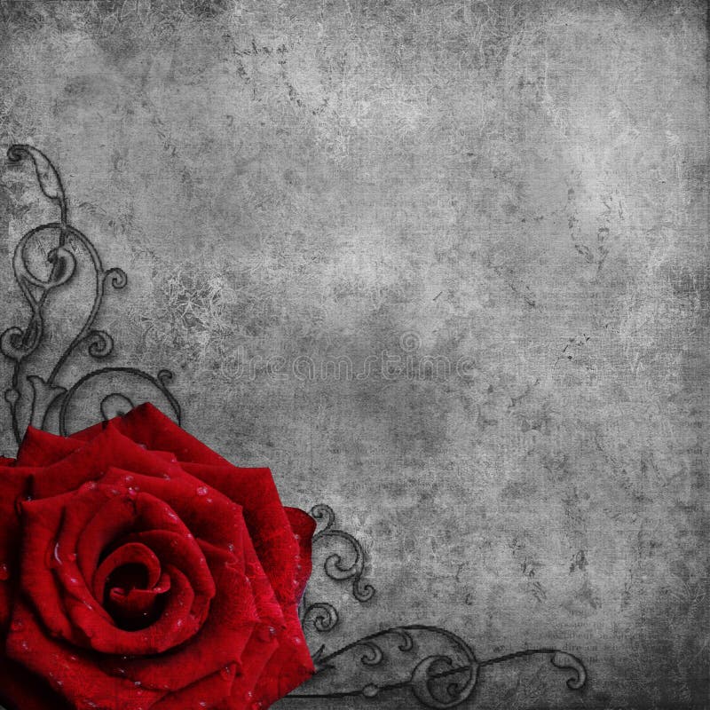Retro design background with red rose