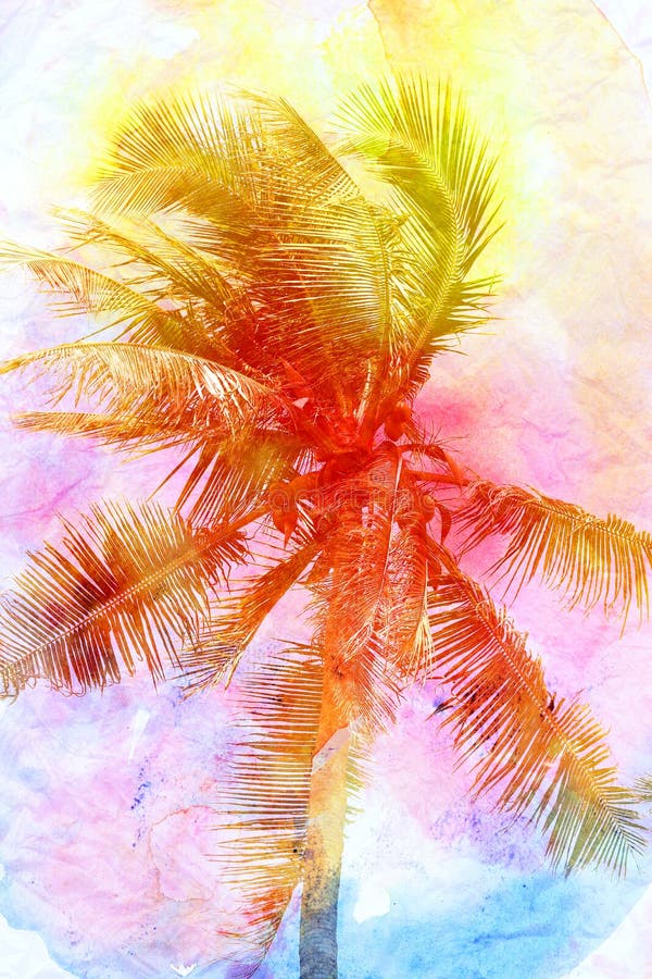 Retro foto av en härlig vattenfärg av palmträd vektor illustrationer Retro foto av en härlig vattenfärg av palmträd vektor illustrationer