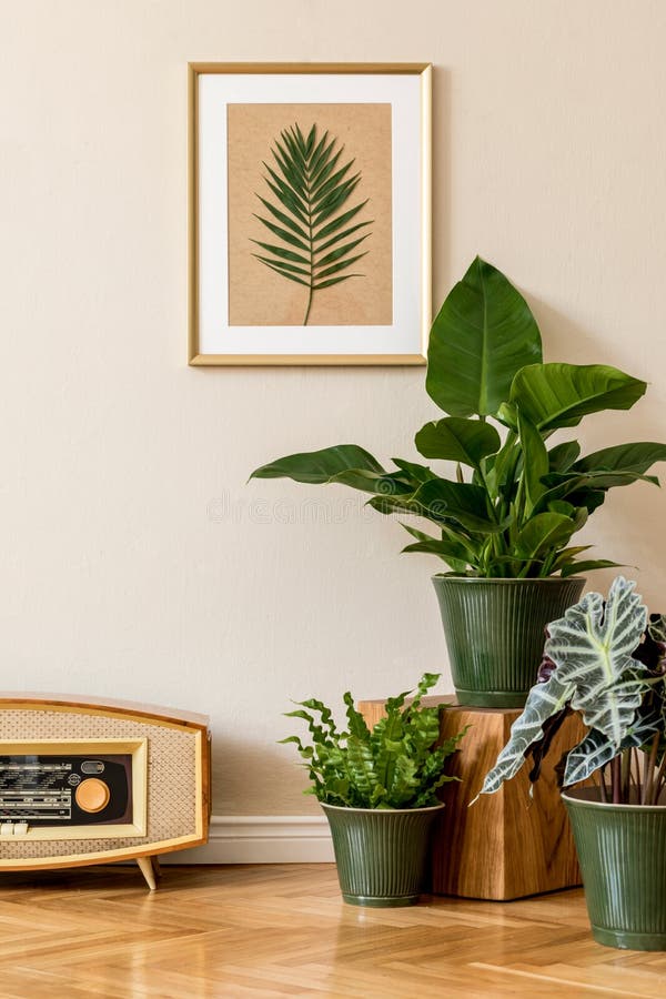 Retro space interior at home with gold mock up frame and vintage radio and potted plants.