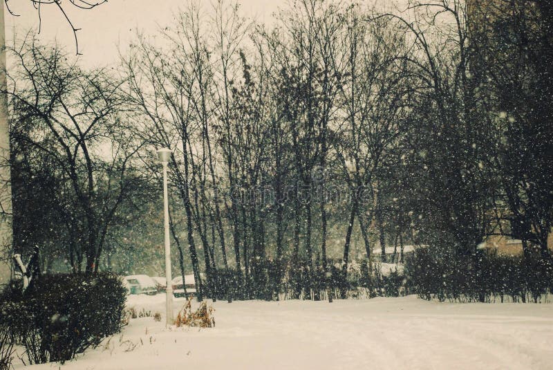 Retro paesaggio di nevicata nell'inverno immagine stock Retro paesaggio di nevicata nell'inverno immagine stock