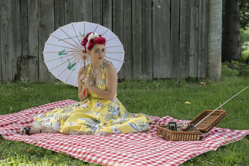 Retro pin-up picknick stock afbeelding