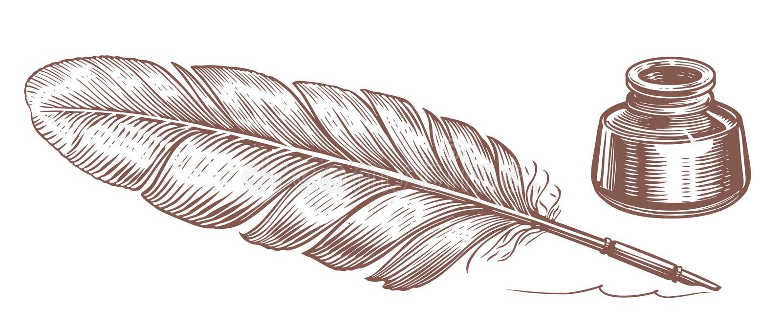 Vintage feather or quill pen in inkwell sketch Vector Image