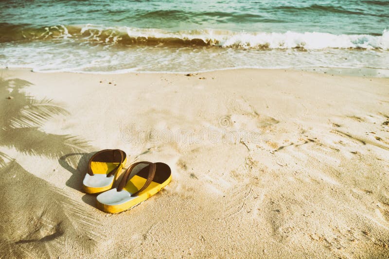 Retro Slippers on Tropical Beach in Summer Stock Photo - Image of flop ...