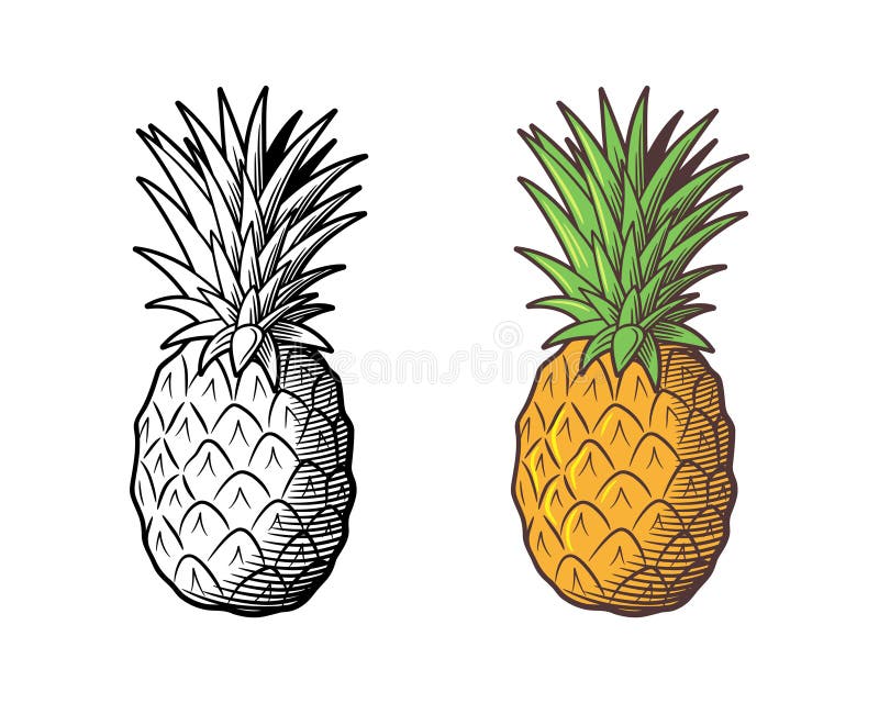 Pineapple Drawing Stock Illustrations 20,807 Pineapple Drawing Stock Illustrations, Vectors