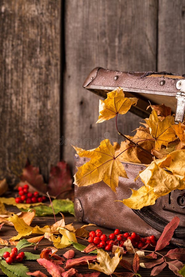 Retro suitcase with autumn leaves on wooden background.