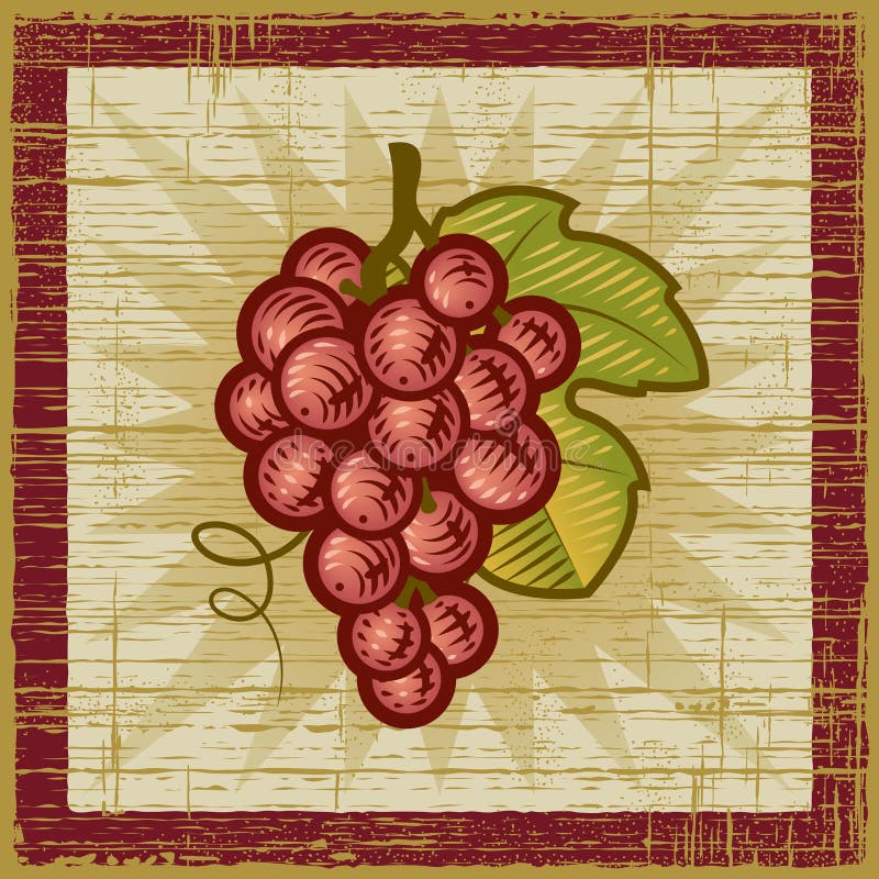 Retro wiązek winogrona ilustracja wektor