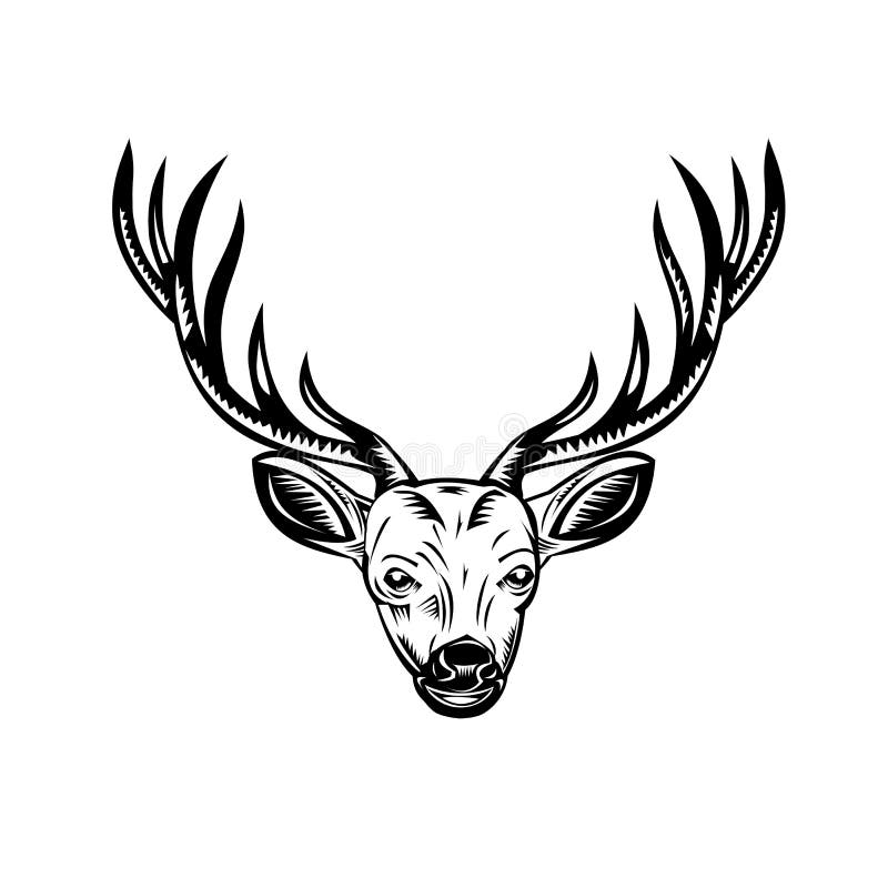 Head of Stag Buck or Deer Front View Retro Woodcut Black and White. 