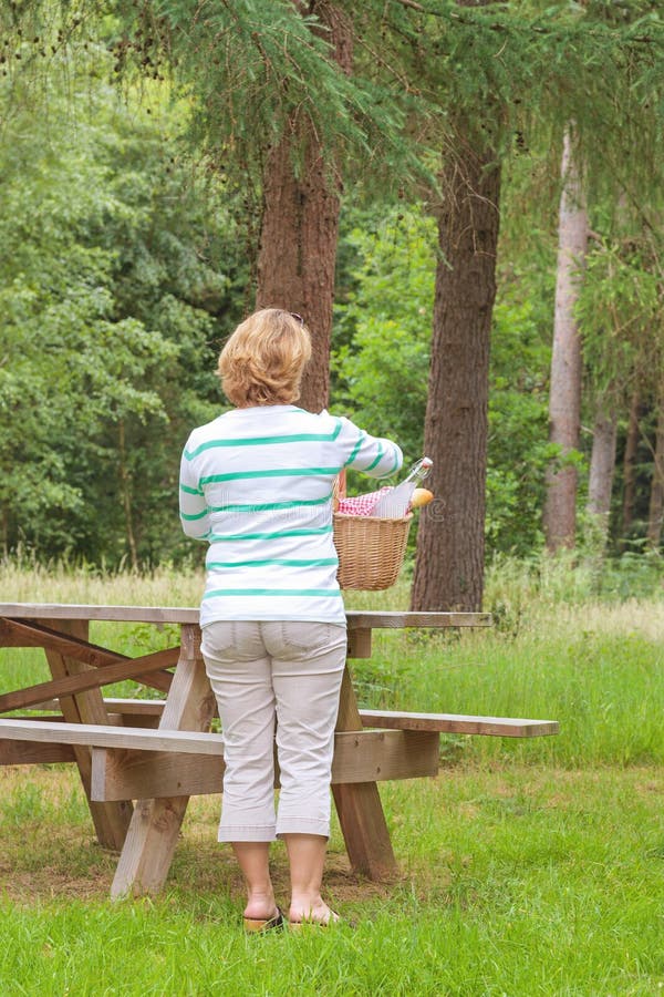 Retrovisione di una donna che prepara un picnic immagine stock Retrovisione di una donna che prepara un picnic immagine stock
