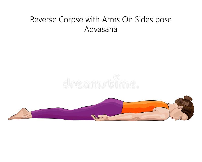 Reverse Corpse with Arms on Sides Pose. Advasana Stock Illustration ...